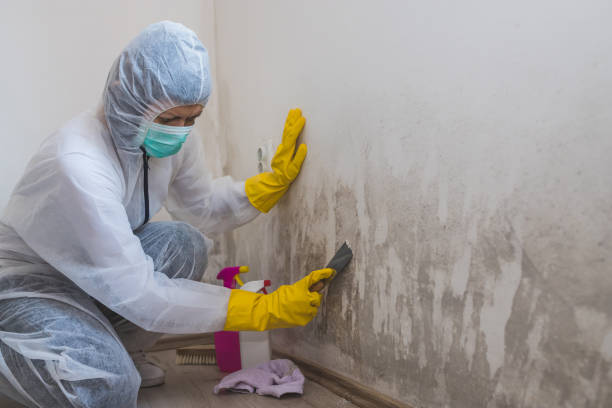 Best Residential Mold Inspection & Testing  in Woodcliff Lake, NJ